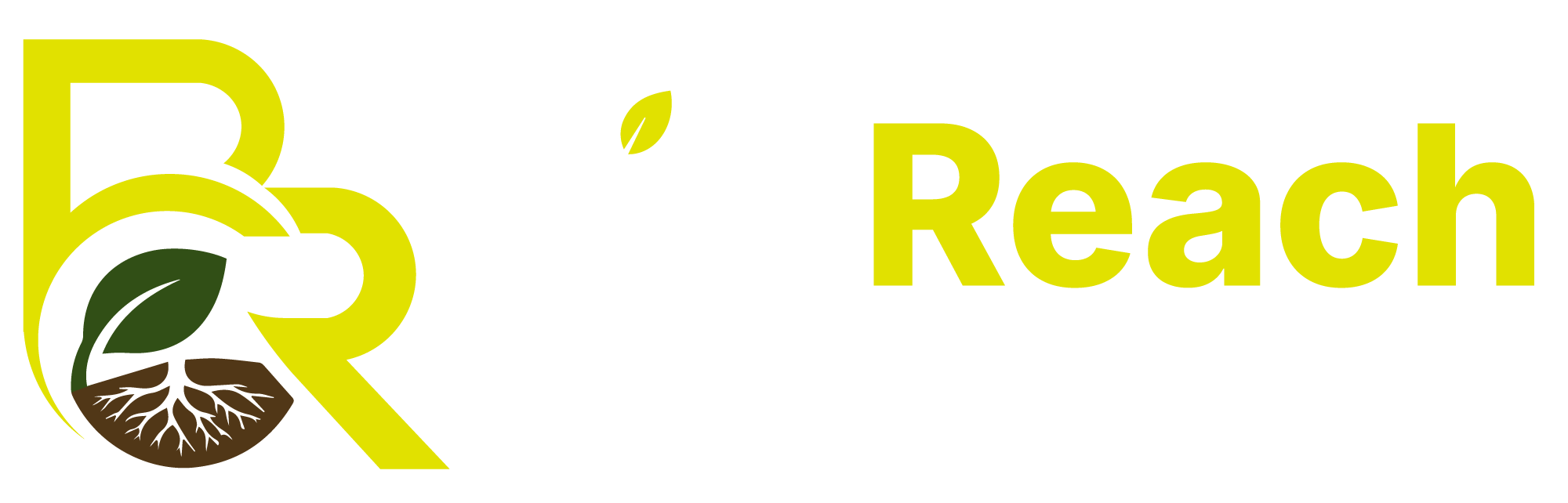 Bio Reach Labs